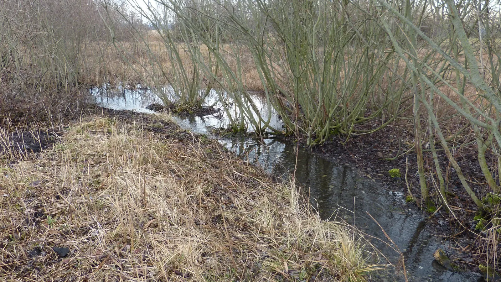 Die Gfällach hat ihre Quelle in der Gemeinde Finsing. In Schwaig mündet sie in die Dorfen. (Foto: Sabine Lanzner)
