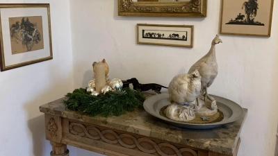 Das Museum Franz Xaver Stahl befindet sich im ehemaligen Atelier- und Wohnhaus des gleichnamigen Erdinger Tiermalers. (Foto: Heike Kronseder)