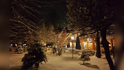 Bei Schnee präsentiert sich der Waldgasthof Buchenhain besonders idyllisch. (Foto: Waldgasthof Buchenhain)