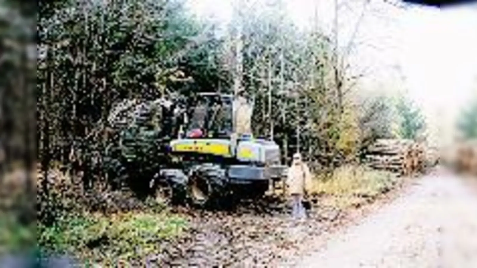 Geschockt von den Schäden, die der »Forwarder« im Waldgebiet des Perlacher/Grünwalder Forstes bereits verursacht hat, ist die Vereinsvorsitzende Inge Hügenell.  (Foto: Verein)