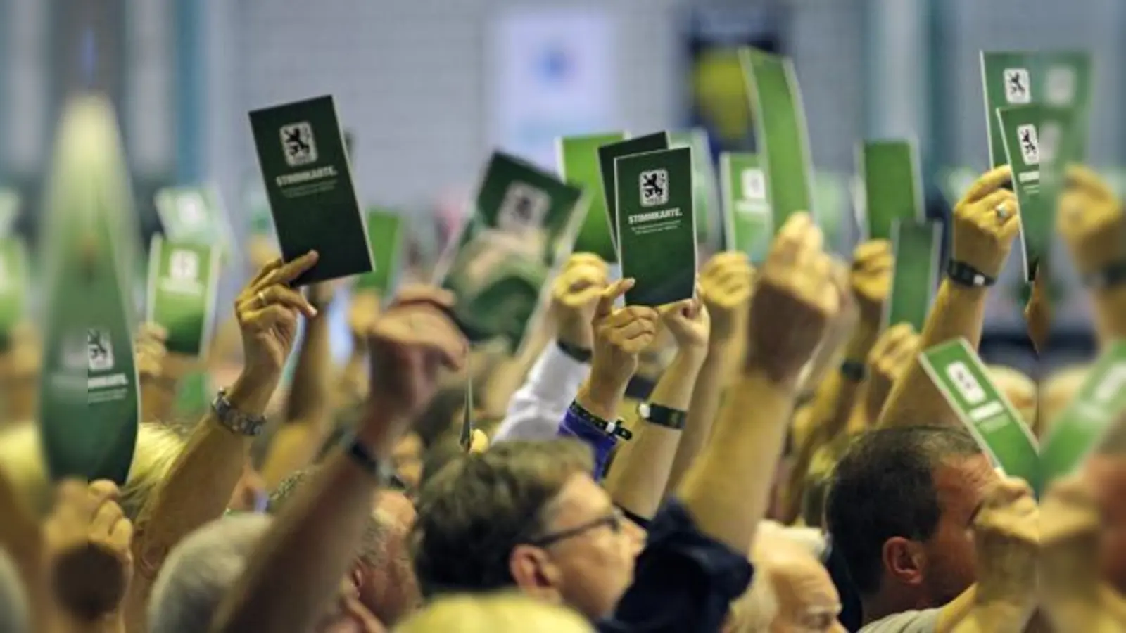 Meinungsstark: Die Mitglieder des TSV München von 1860 e.V. auf ihrer Jahreshauptversammlung 2017.  (Foto: Anne Wild)