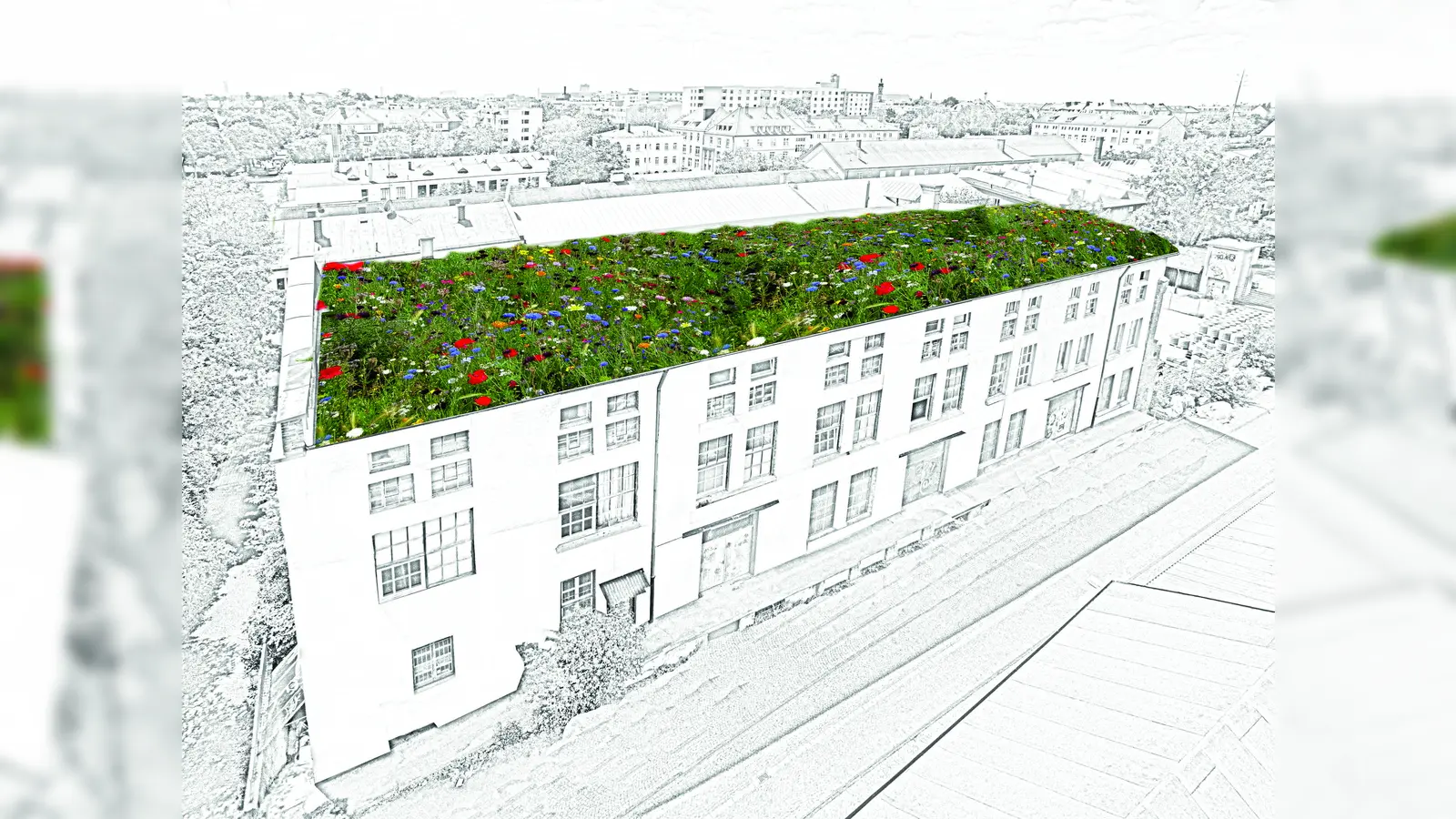 Die Künstler des Atelierhauses machen sich auch Gedanken zu weiteren Nutzungsmögichkeiten des Areals. (Foto: VA)