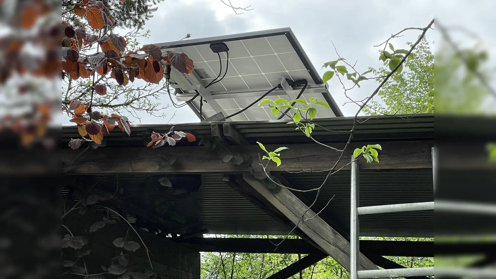 Es muss nicht immer der Balkon sein, auch auf dem Gartenschuppen passen die Solarmodule. (Foto: pst)