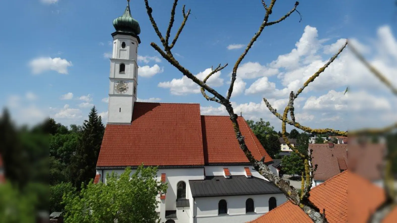 Die Kirche Hl. Kreuz mal aus einer anderen Perspektive: Mit einer Hebebühne ging es nach oben in die Baumwipfel. (Foto: tab)