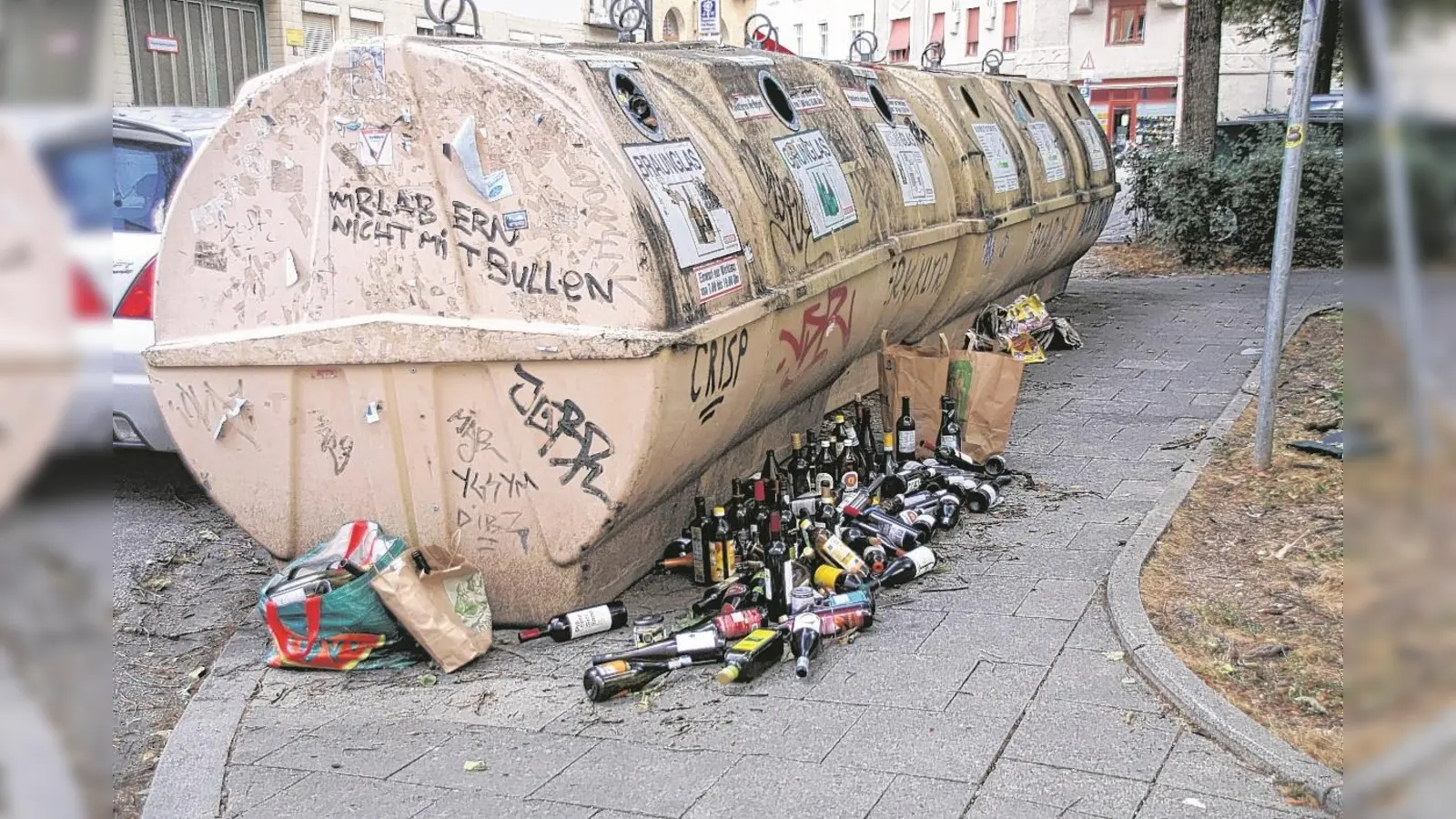 Oft sind Wertstoffcontainer im Stadtgebiet so voll, dass nichts mehr hinein passt. (Foto: lsc)