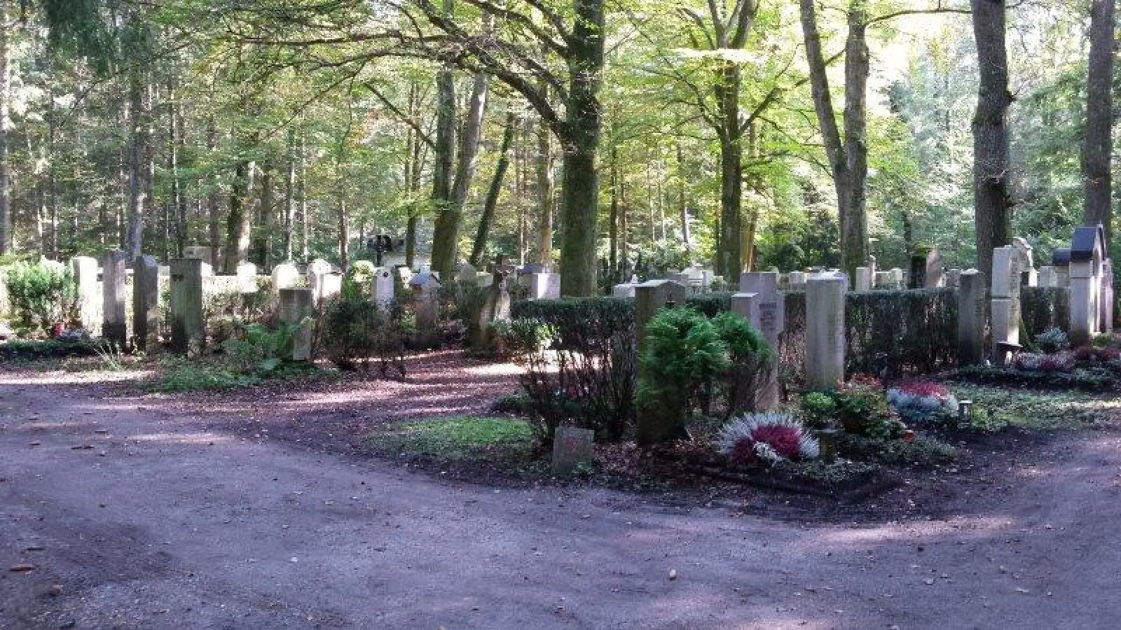 Im Waldfriedhof kann man Natur erleben und besinnliche Stunden verbringen. (Foto: eis)
