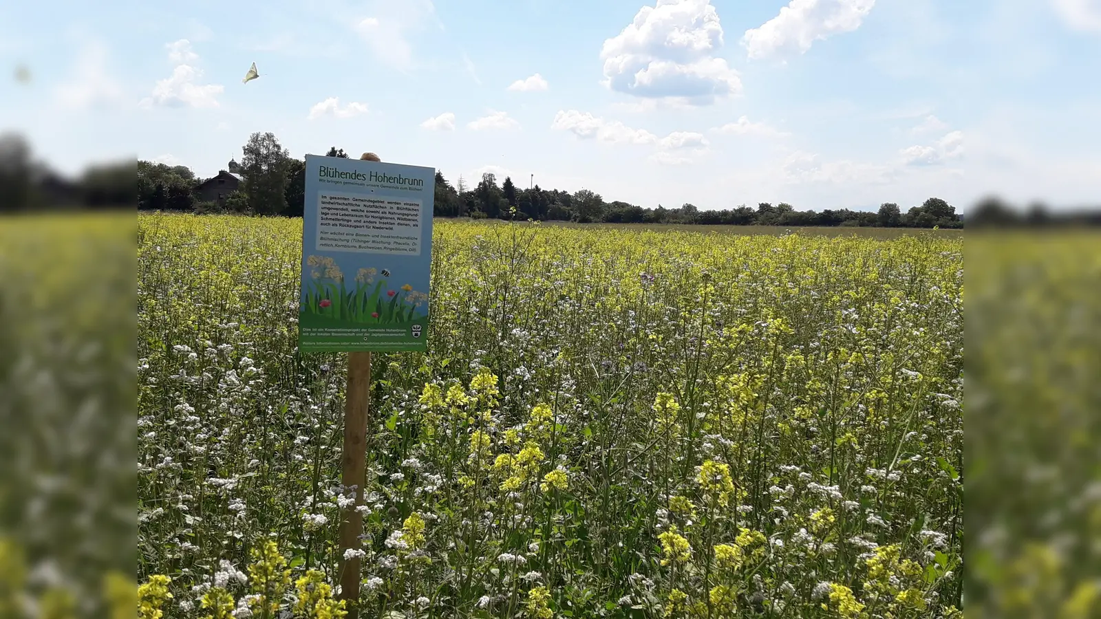 Hohenbrunner Bauernschaft und Jagdgenossenschaft wollen das Projekt „Blühendes Hohenbrunn“ fortsetzen. (Foto: Gemeinde)