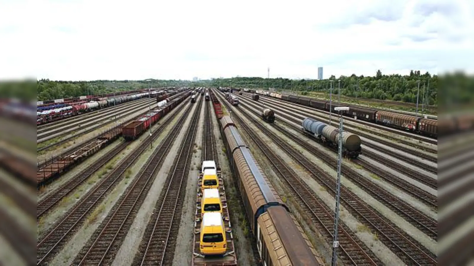 Nach dem Bau des Rangierbahnhofs von 1989 bis 1991 überließ die Bahn die angrenzenden Flächen  ihrer natürlichen Entwicklung.	 (Foto: ws)