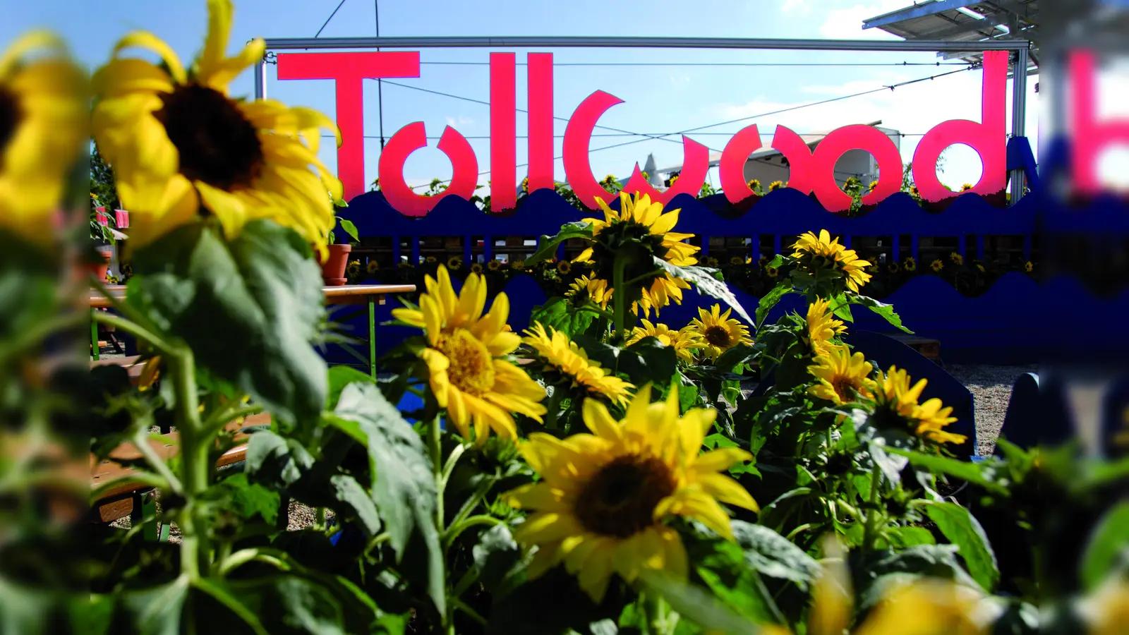 Wer gerne singt, kann beim Tollwood-Festival den Hit „Applaus, Applaus” der Sprotfreunde Stiller mit viel Spaß gemeinsam einüben und singen. (Foto: Markus Dlouhy)