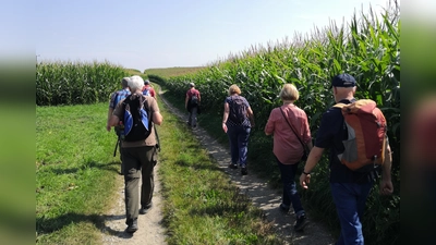 Die Alzheimer Gesellschaft München beteiligt sich an der Münchner FreiwilligenMesse am Sonntag, 15. März, im Neuen und Alten Rathaus am Marienplatz. (Foto: red)