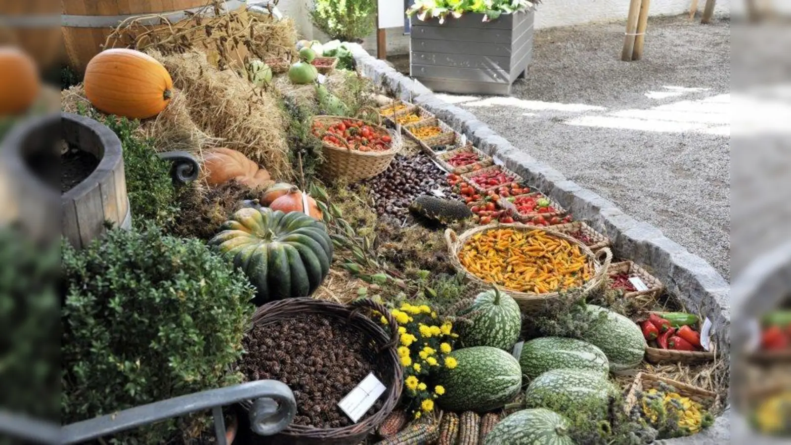 Foto: Botanischer Garten