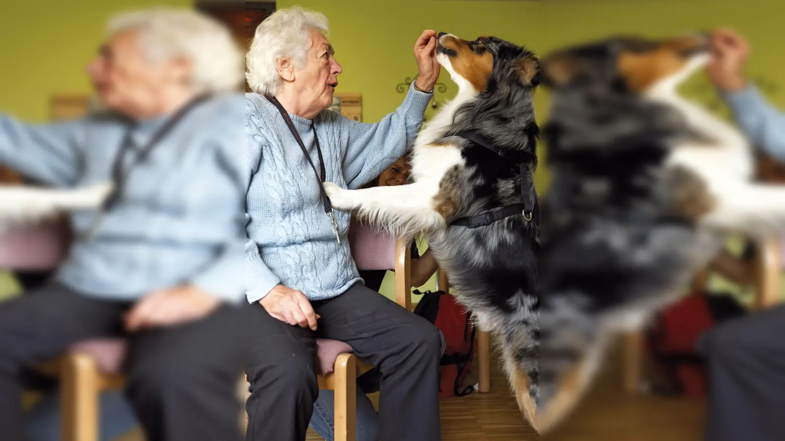 Eine schöne Begegnung: Pflegeheimbewohnerin Maria Ohnsorge mit Demenzhelfer-Hund Grisu. (Foto: Birgit Betzelt)