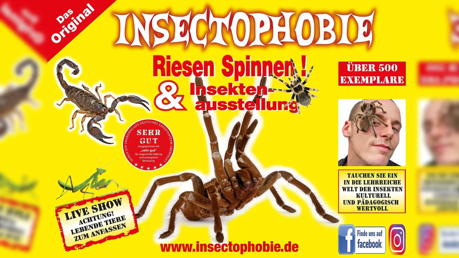 Mit über 500 Exemplaren die größte und Artenreichste Spinnen &amp; Insekten Ausstellung in Deutschland. (Foto: Neigert)