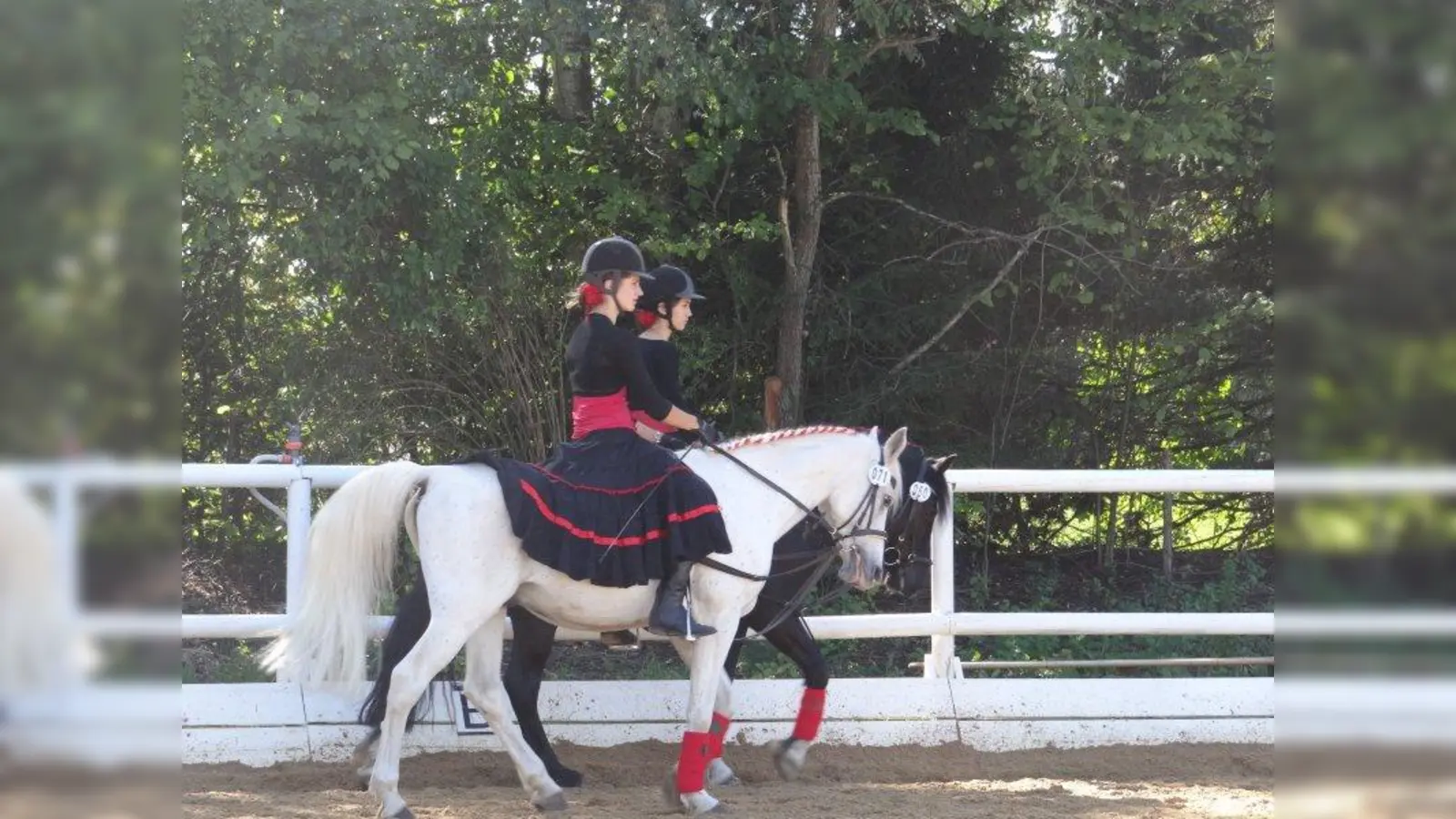 Fantasie und Musik: die Paar-Kür für Dressurreiter Klasse E. (Foto: pi)