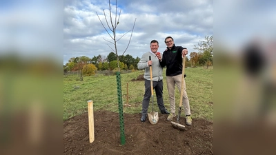 Bürgermeister Korbinian Rausch (l.) und Develey-Inhaber Michael Durach (r.) beim Pflanzen weiterer Bäume auf der Streuobstwiese im Landschaftpark. (Foto: hw)