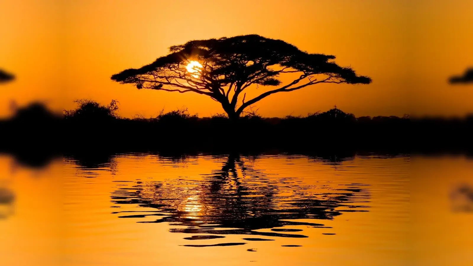 „AfrikHaar” lautet der Titel eines Vortrags der vhs. Zwischen der Gemeinde Haar und dem Kontinent gibt es einige Verbindungen. (Foto: Canva)