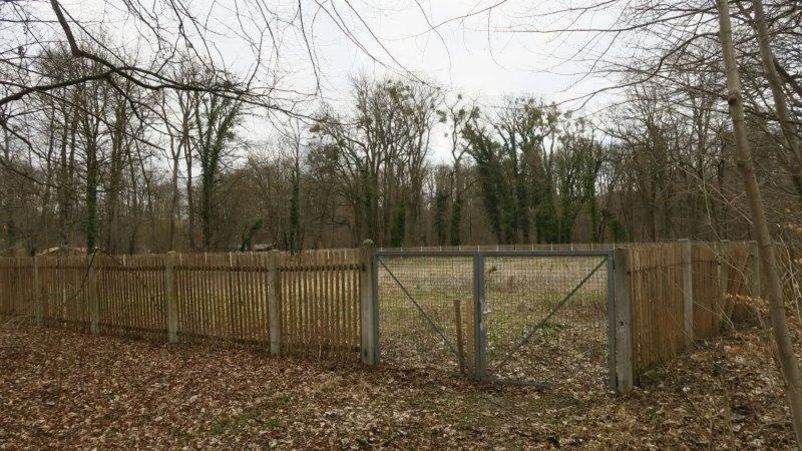 Der Zaun kommt weg: Auf einem nicht mehr genutzten Grundstück der städtischen Baumschule in den Flaucheranlagen entsteht der neue Spielplatz &amp;quot;Seidenspinner&amp;quot;. (Foto: lsc)