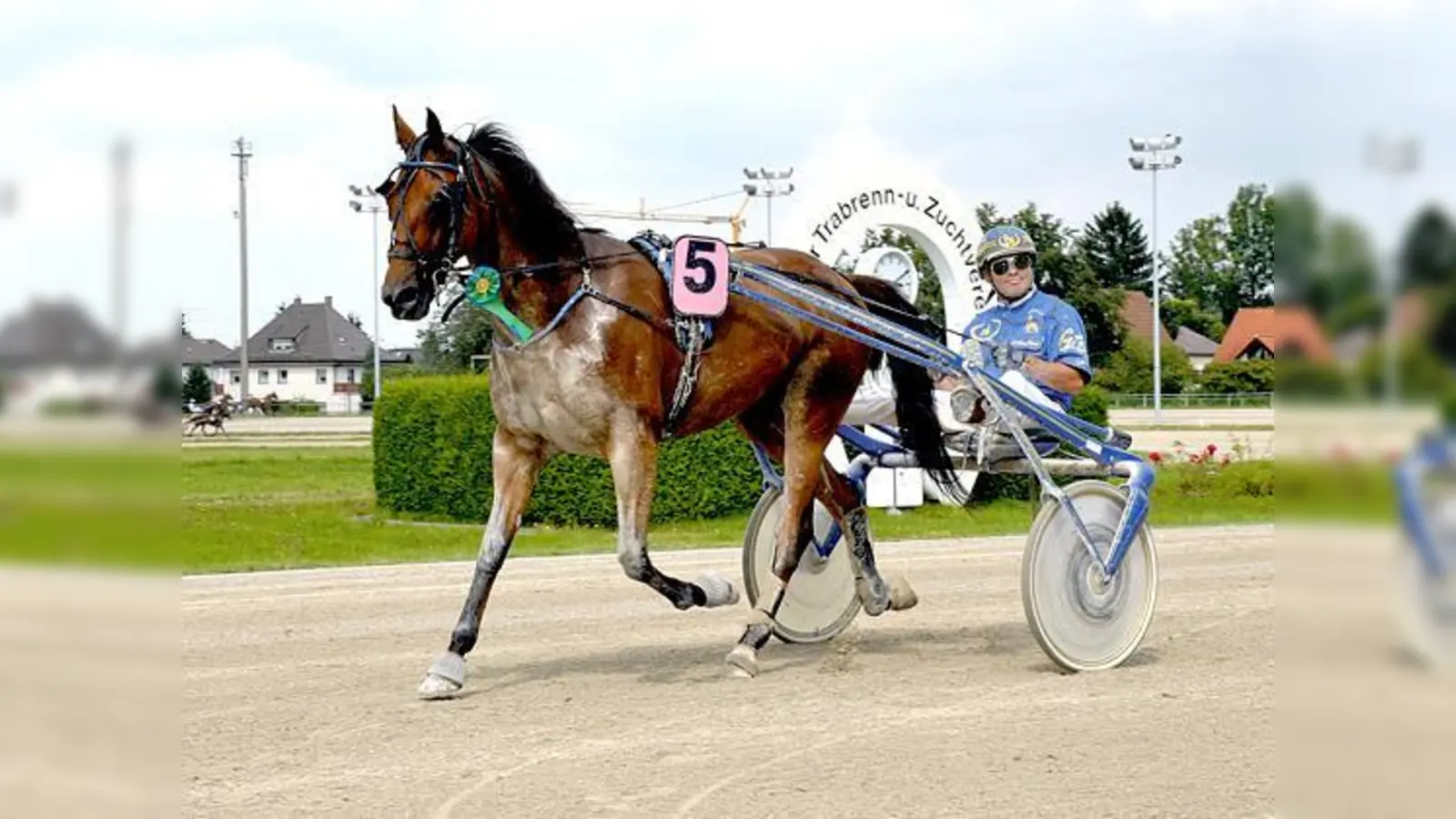 Der Biendl-Crack Light of Europ wurde seiner Favoritenrolle gerecht.	 (Foto: privat)