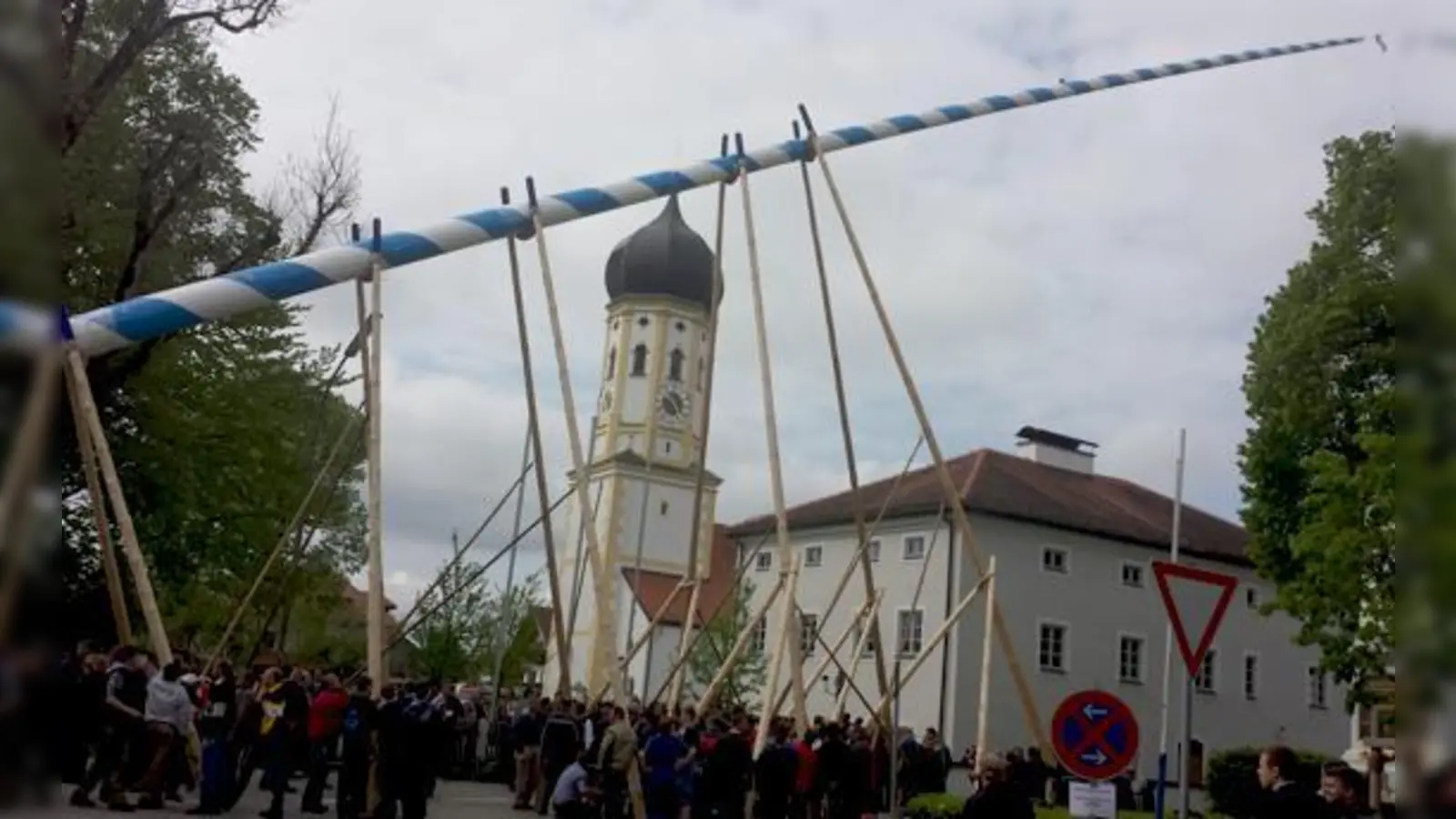 Am 1. Mai ist Zupacken angesagt, wenn in Bayern mit Schwaiberl und Muskelkraft die Traditionsstangerl aufgestellt werden. 	 (Foto: Stefan Dohl)