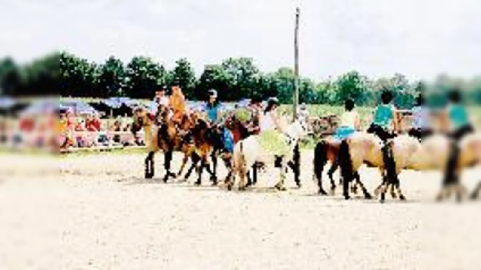 Voller Stolz zeigten die kleinen Reiter beim Sommerfest, was sie schon alles gelernt haben.  (Foto: PB)