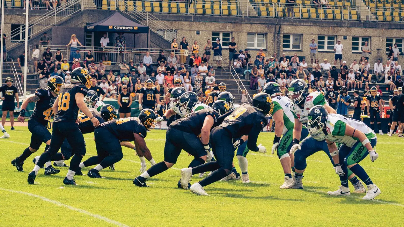 Für die Munich Cowboys geht es um sehr viel. (Foto: Munich Cowboys/A. Kolbinger)