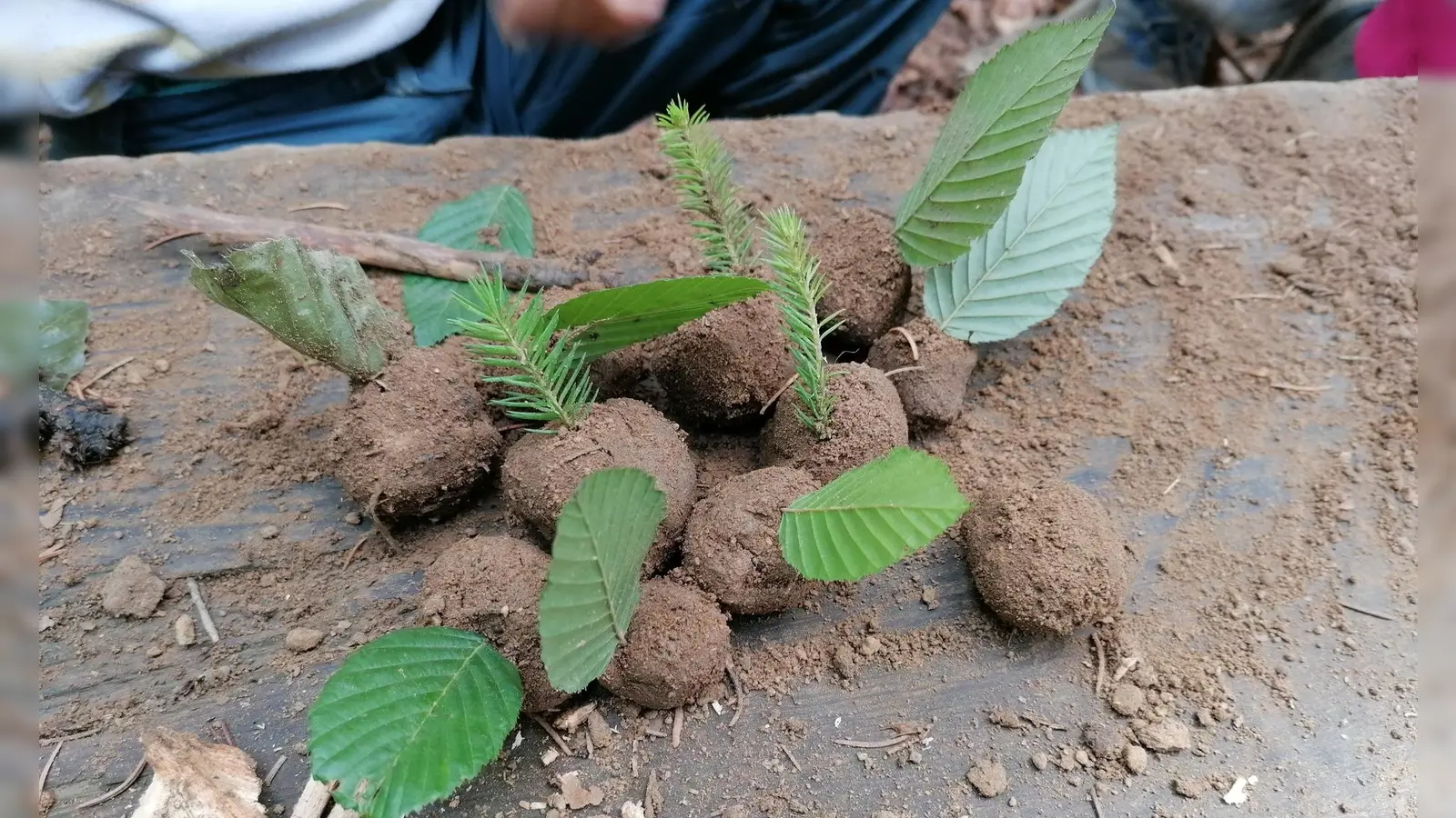 Unter Führung der Waldpädagogin Petra Pichler sammeln die Teilnehmer Natur-Fundstücke und basteln daraus Naturschmuck, Spielsachen oder Sportgeräte. (Foto: Petra Pichler)