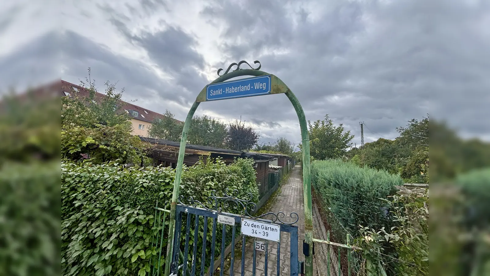 Die Kleingartenanlage in der Haberlandstraße darf bleiben. Dies bestätigte die Stadtverwaltung nun. (Foto: Ulrike Seiffert)