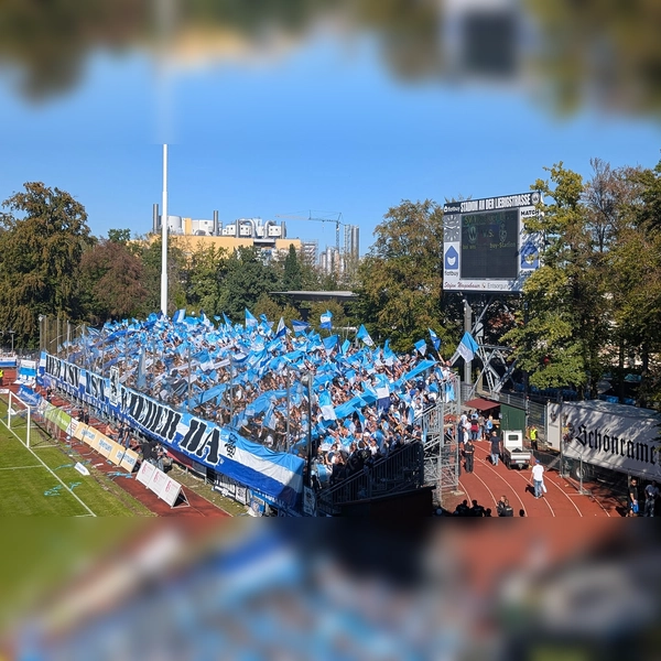 Stolze Auswärtskulisse: TSV 1860 München in Burghausen. (Foto: M. Forster)