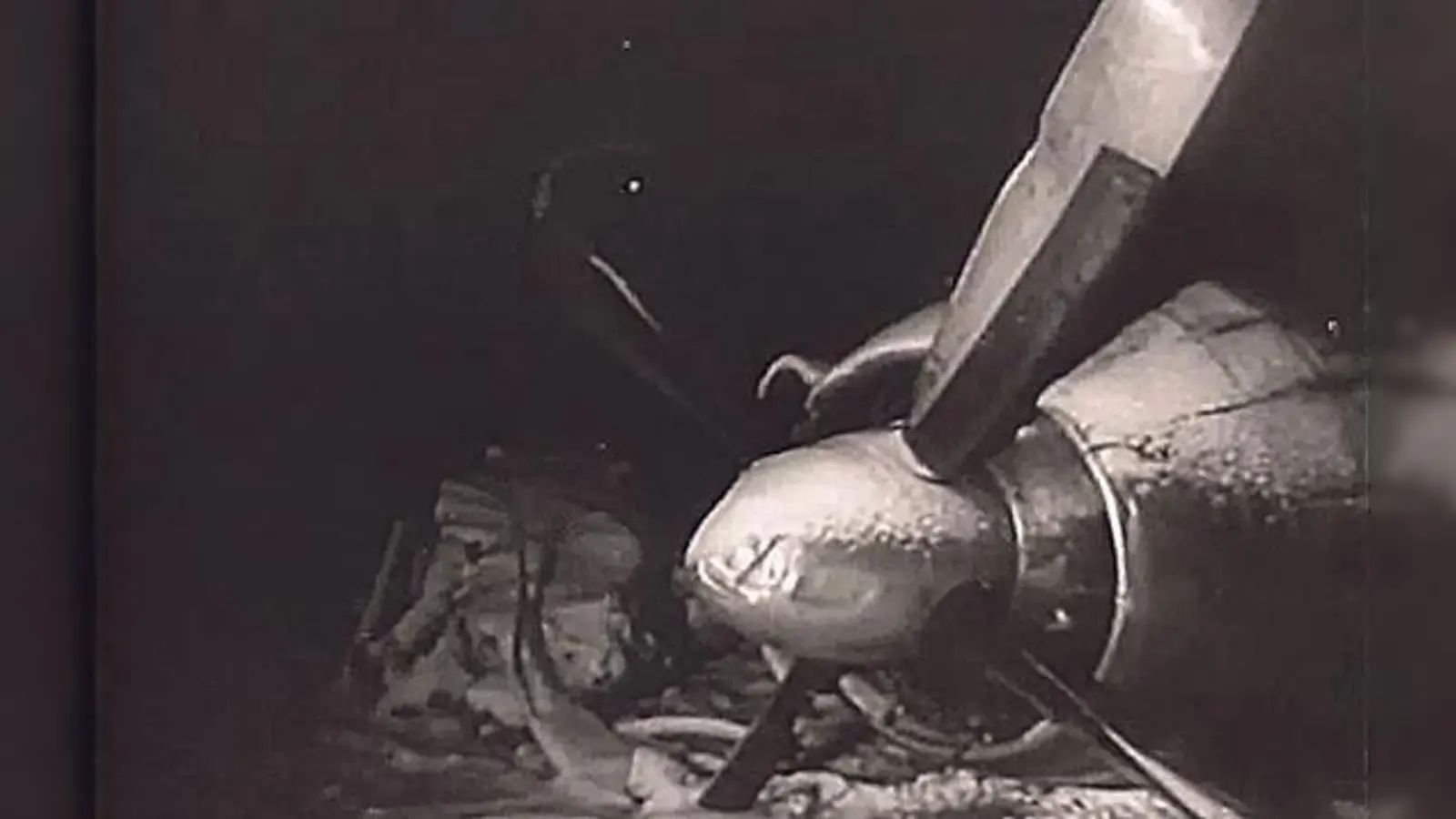 Ein Triebwerk der völlig zerstörten Maschine, in der am 6. Februar 1958 in Trudering beim »Munich Air Disaster« 23 Menschen ihr Leben verloren.	 (Foto: Universal Studios, CC0)