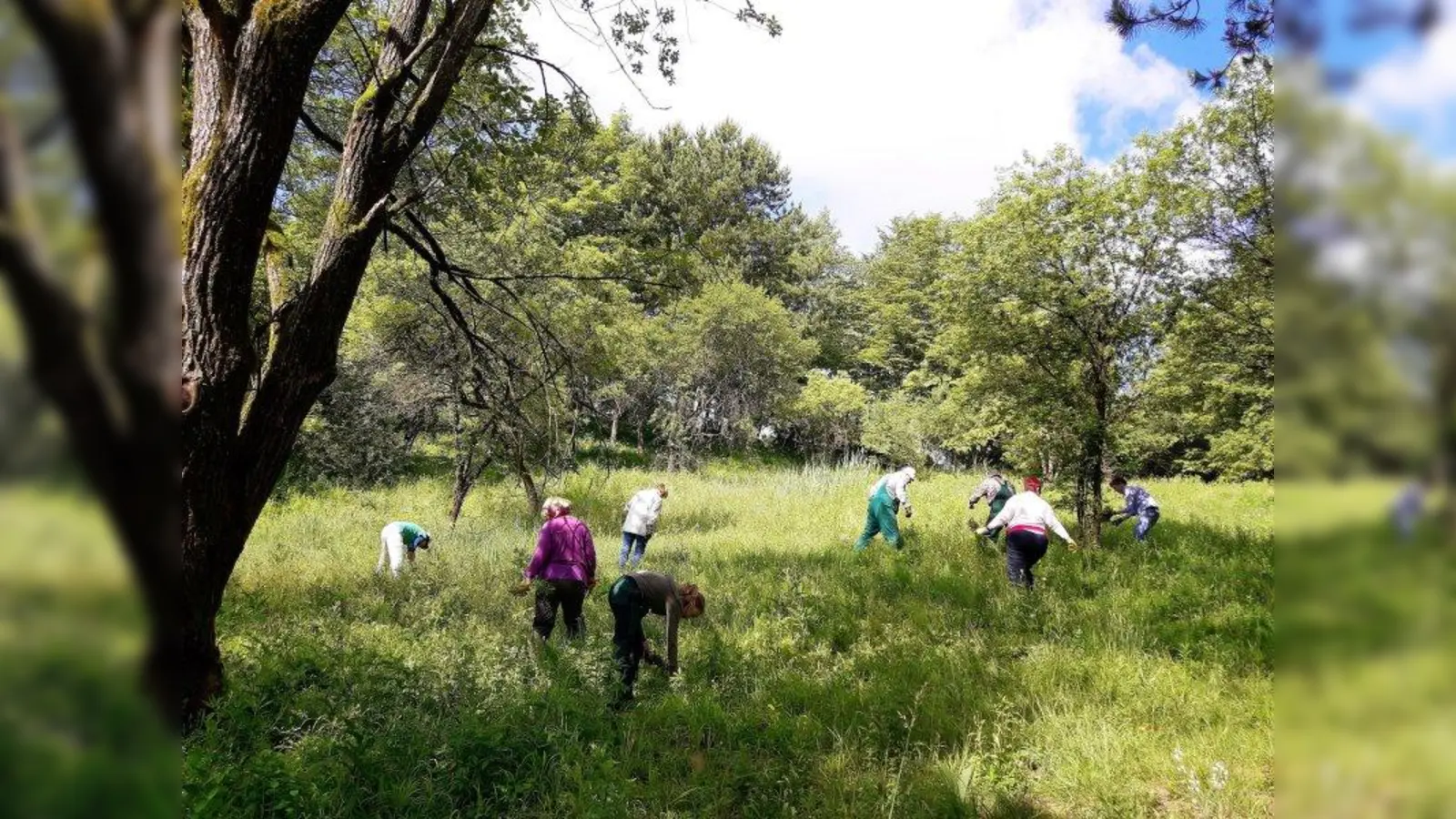Mitglieder der Bund Naturschutz-Ortsgruppe Karlsfeld bei der Biotoppflege im Schwarzhölzl. (Foto: Bund Naturschutz Karlsfeld)
