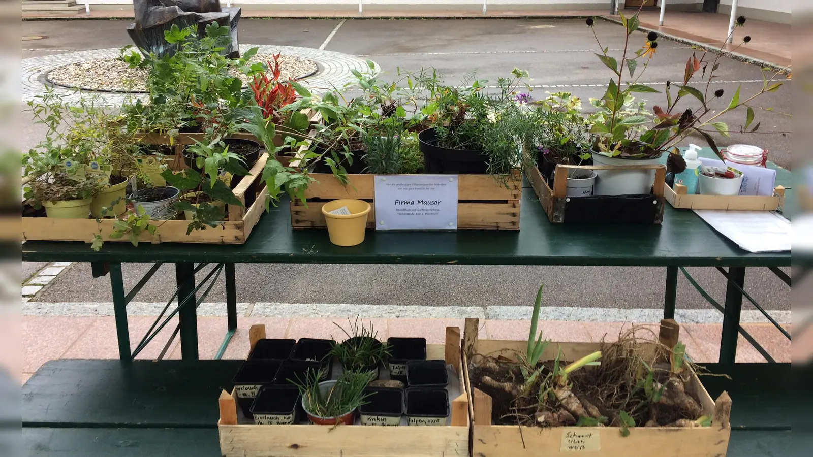 Für Gartenfreunde wird jetzt eine Pflanztauschaktion im Pfarrhof von St. Magdalena angeboten. (Foto: Zörntlein)