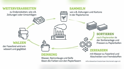So funktioniert der Papierkreislauf. (Grafik: BVDA)