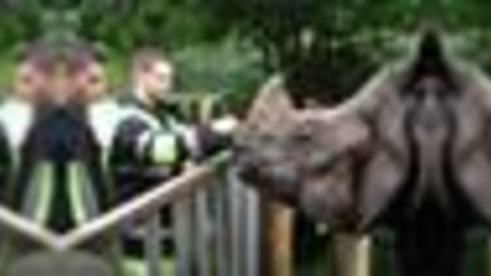 »Was macht ihr denn da?« Neugierig beäugen die Elefanten die Arbeiten der Feuerwehrleute. Zur Belohnung darf Bernhard (19) von der FFW Moosach mit dem Nashorn auf Tuchfühlung gehen.	 (Foto: Feuerwehr, ta)