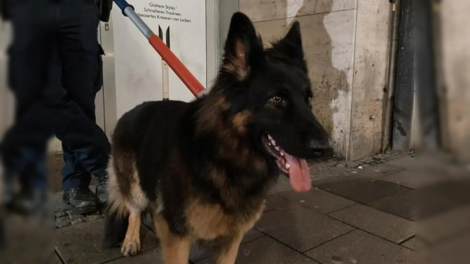 Ein wagemutiger Schäferhund ist durch den Tunnel der S-Bahn-Stammstrecke gelaufen. (Foto: Bundespolizei)