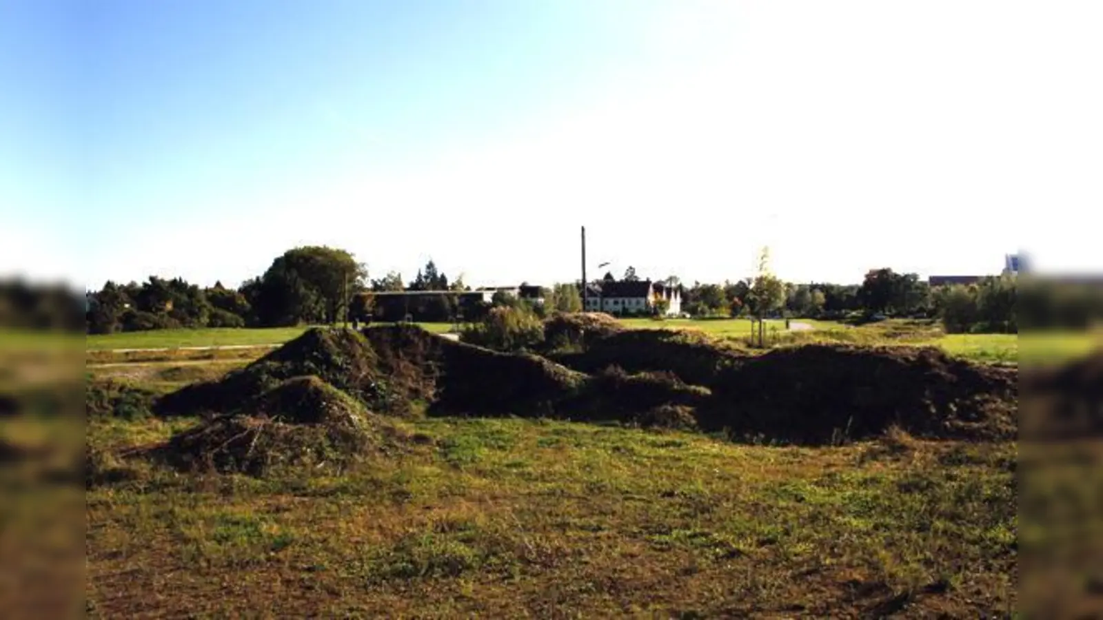Kleinere Erdhügel gibt es auf der Wiese an der  Hachinger-Bach-Straße viele. Nun will die Stadt dort  jedoch einen richtigen Rodelberg anlegen.	 (Foto: js)