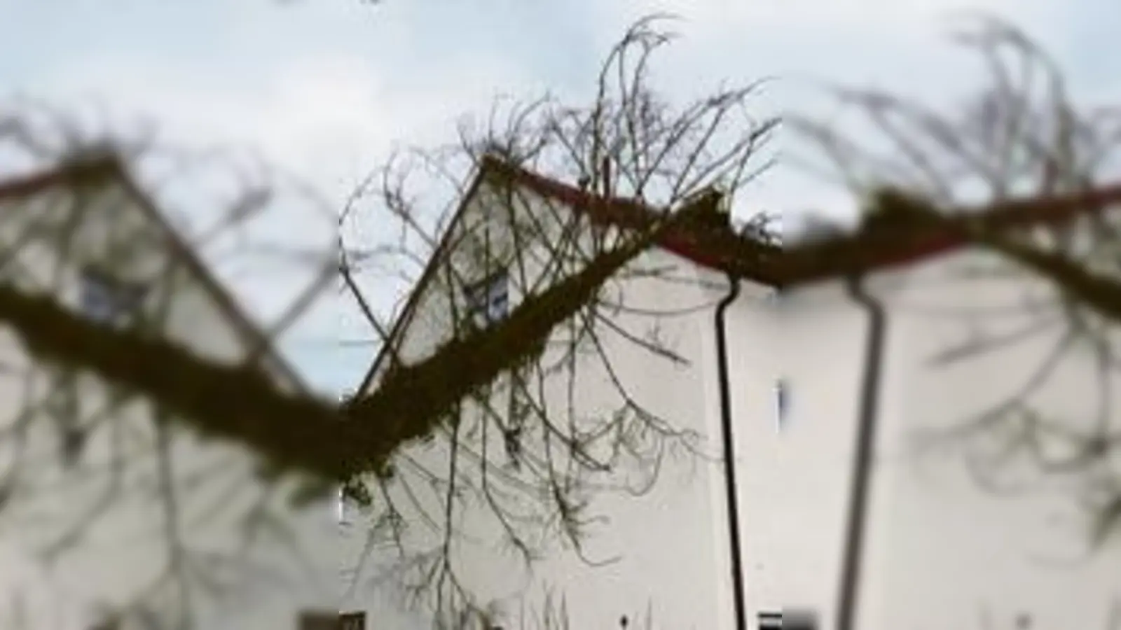 Für sie gab es kein Halten mehr. Das Hausdach bremste die Lärche  (unfreiwillig.Foto: Feuerwehr)