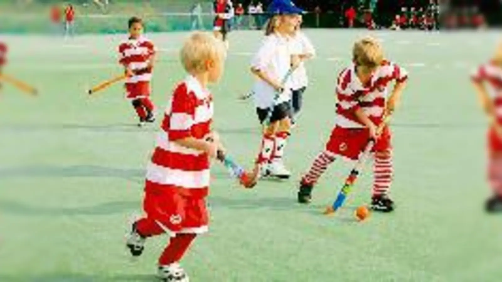 Hockeyzwerge ganz groß (Foto: red)