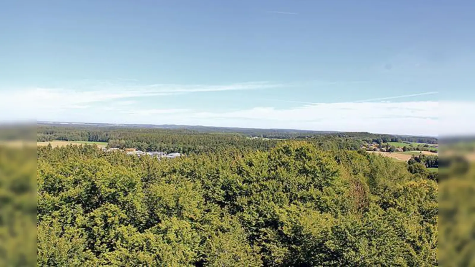 Die Schutzgemeinschaft Ebersberger Forst will um den Erhalt der »grünen Lunge« des Landkreises kämpfen. 	 (Foto: sd)