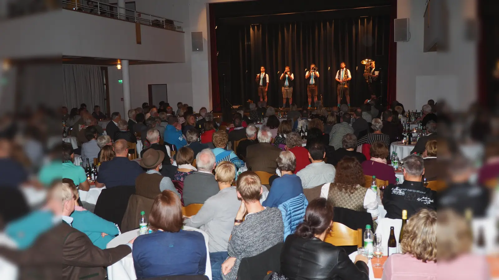 „Die Bayerischen Löwen“, 5 Musiker aus der Nähe von Straubing, sorgten für Stimmung und Unterhaltung.  (Foto: privat )