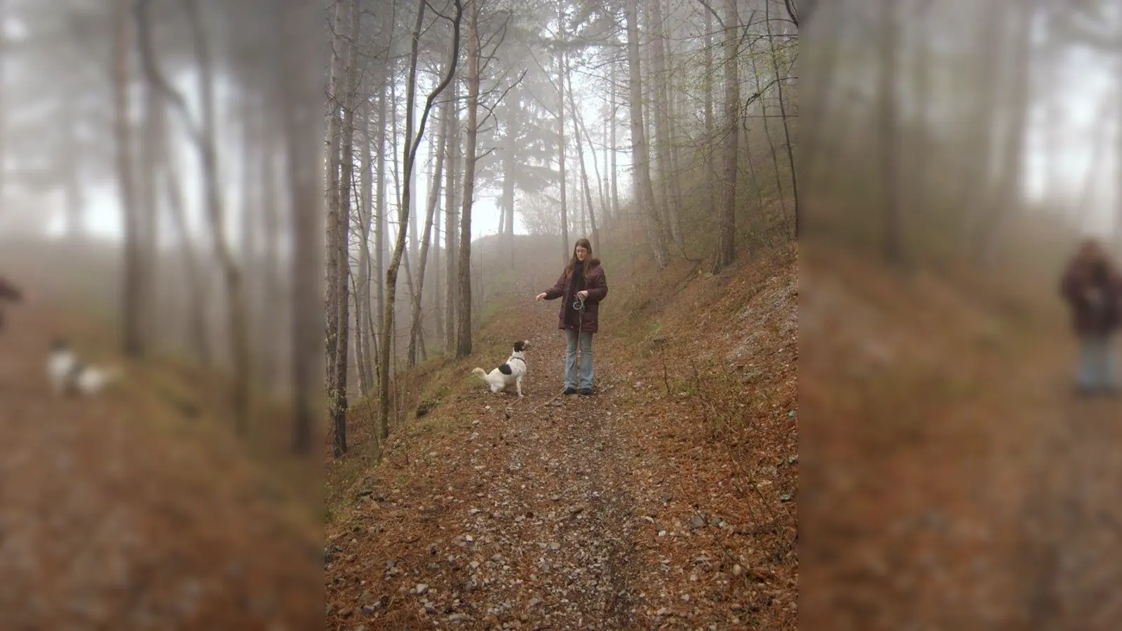 Der richtige Umgang mit Tierheim-Hunden beim Gassigehen wird in einer dreistündigen Infoveranstaltung erklärt und geübt. (Foto: VGMeril/pixelio.de)