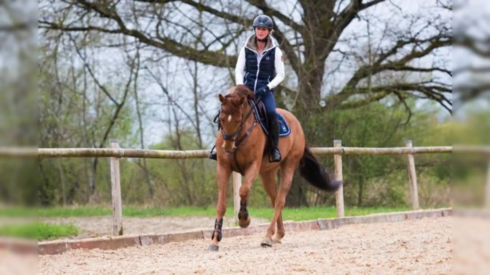 Mit Little Lucy will Simone Blum auf der Pferd International starten, die Stute ist für die Youngsters Tour geplant.	 (Foto: Claudia Rahlmeier)