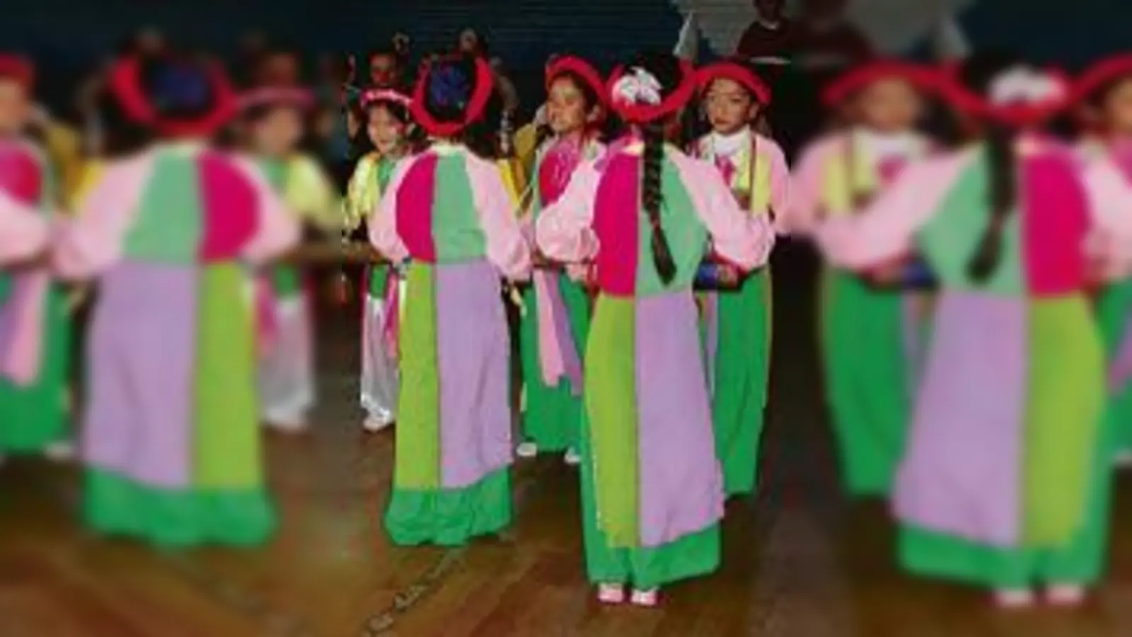 Die vietnamesische Gruppe Jub Fa Chanh Tin bei ihrem beeindruckenden »Trommeltanz«.  (Foto: VA)