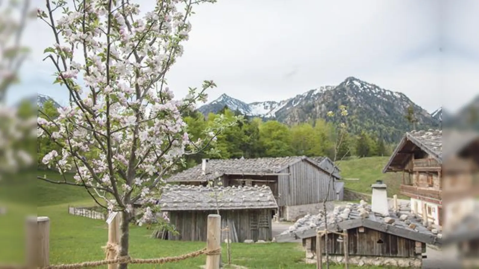 Der Frühling hält Einzug ins Tal, während auf den Gipfeln noch der Schnee liegt.	 (Foto: Markus Wasmeier Museum)