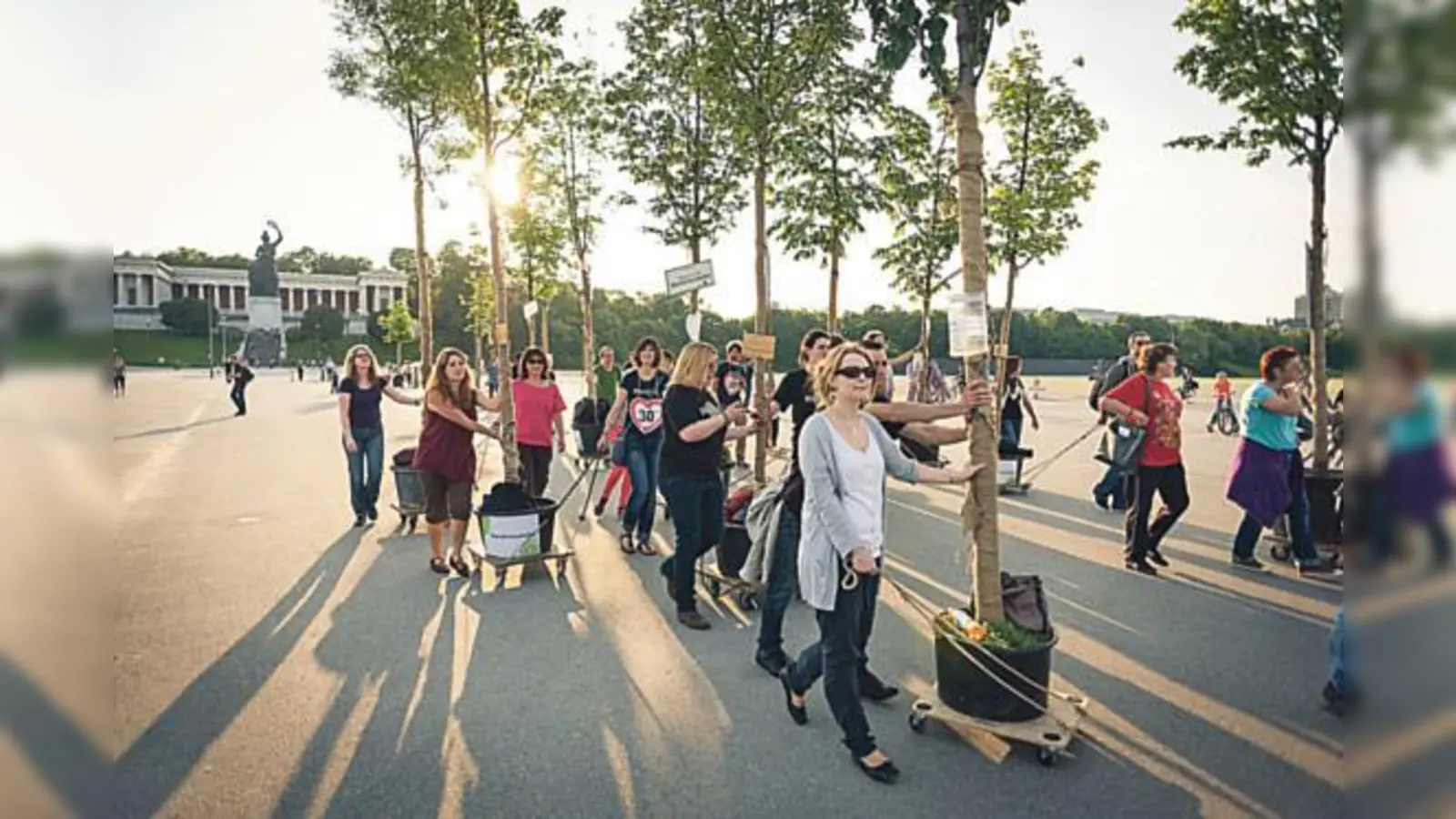 Die Bäume wandern weiter: Am 25. Juni veranstaltet Green City den Umzug von Sendling in die Humboldtstraße.	 (Foto: Green City)