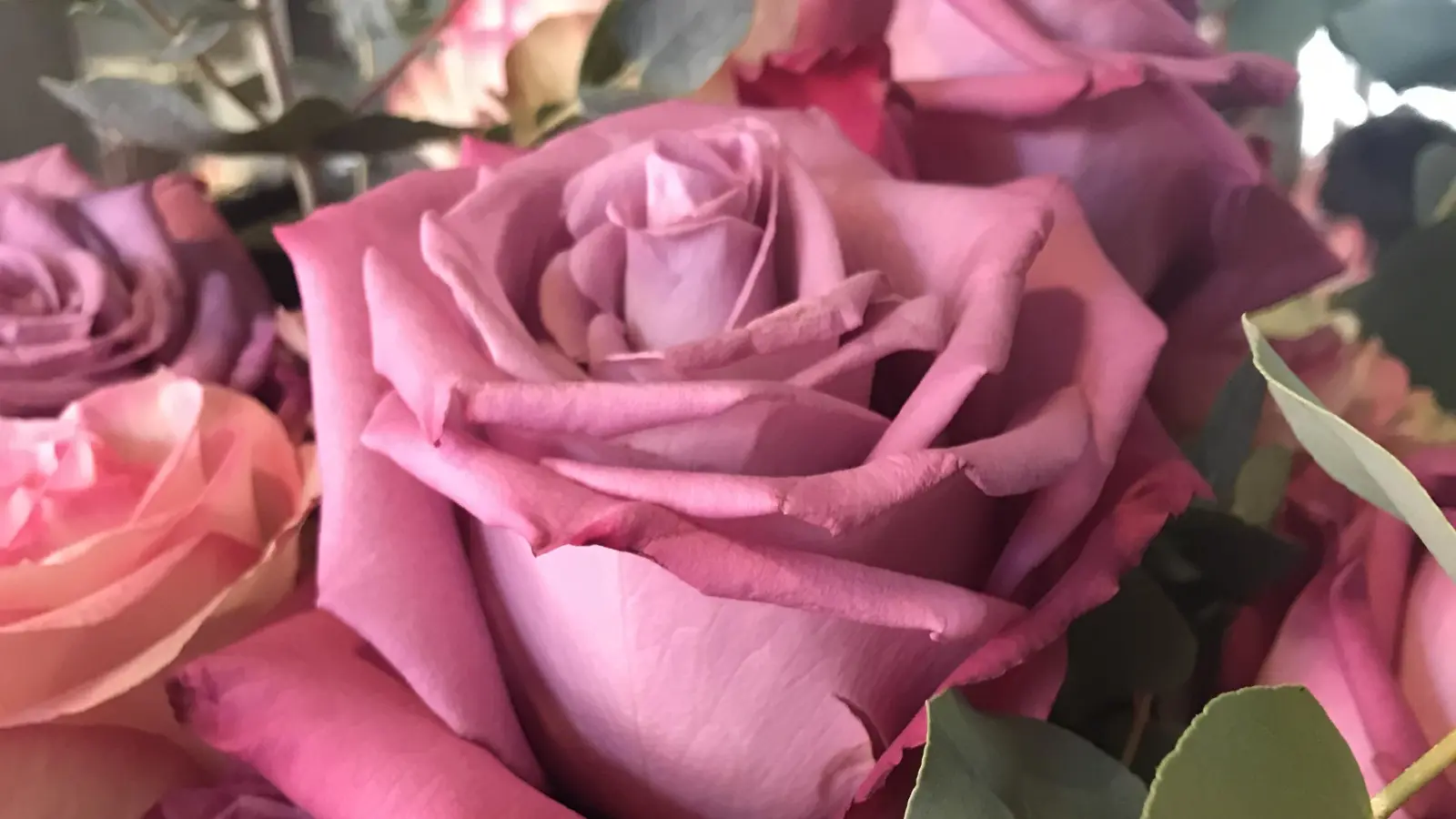 Wenn die Valentinsrosen verwelkt sind, werden sie in der Biotonne entsorgt. Man kann Blumen und Blütenblätter aber auch kreativ weiterverwenden.  (Foto: hw)