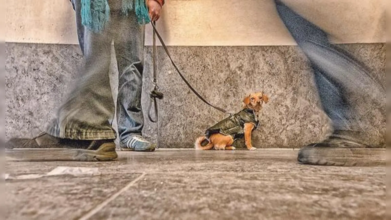 Die »bodenständigen« Fotos von Herbert Becke eröffnen einen neuen Blick auf München.	 (Foto: Herbert Becke)