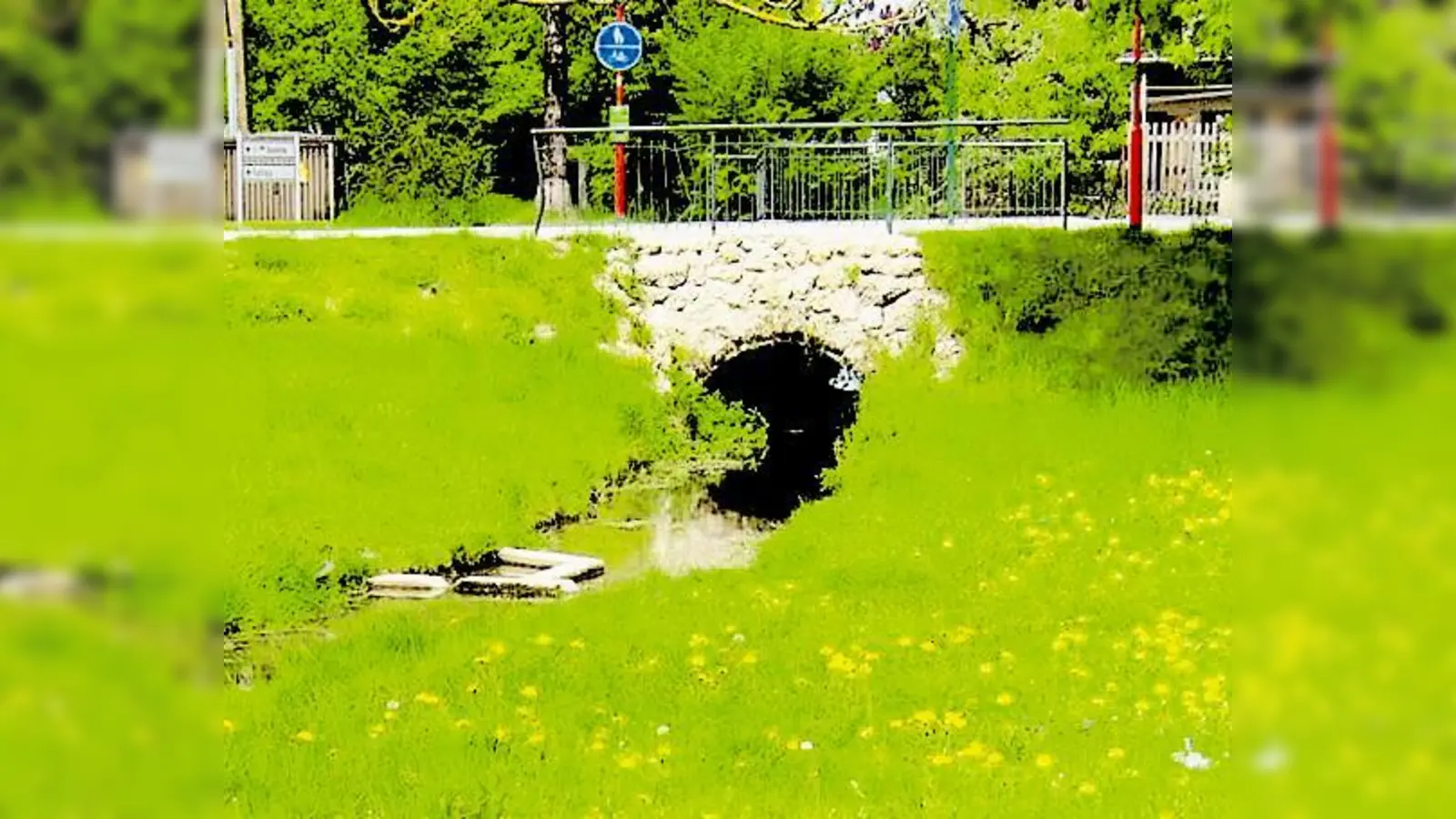 Der enge Bachdurchlass an der Kybergstraße verwandelt den Auwald in ein Hochwasser-Rückhaltebecken und  schützt die nördlich gelegenen Gemeindeteile vor Überschwemmungen.  (Foto: Pietsch)