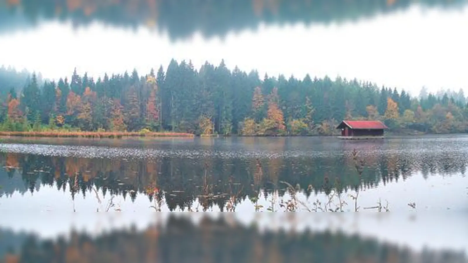 Der Hackensee bei Kleinhartpenning ist Ziel einer dreistündigen Wanderung mit der Gymnastikabteilung des SVN. 	 (Foto: Verein)