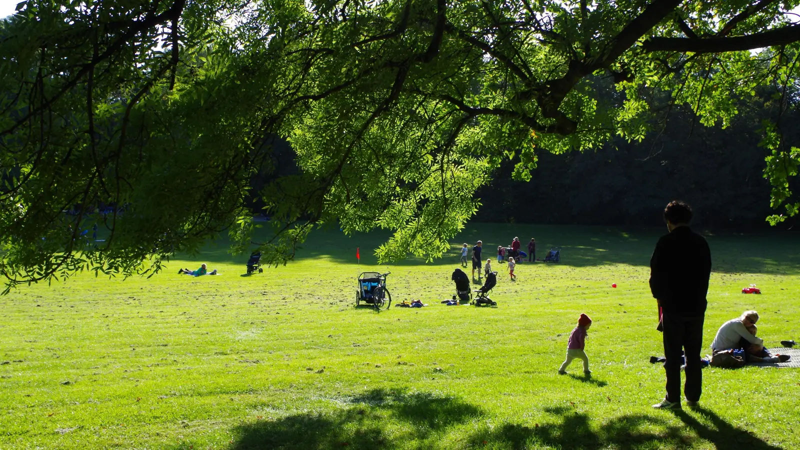 Die große Wiese im Bavariapark wird als Liege- und Spielwiese genutzt. (Foto: Beatrix Köber)