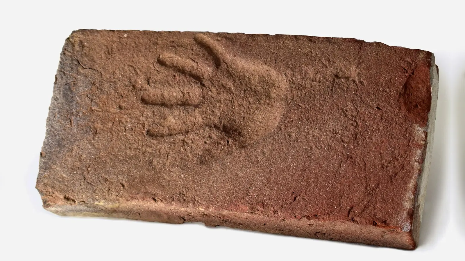 Kinderarbeit war Alltag im Bayern des 19. Jahrhunderts: Ziegel mit Abdruck einer Kinderhand. (Foto: Heimatmuseum Vilsbiburg)